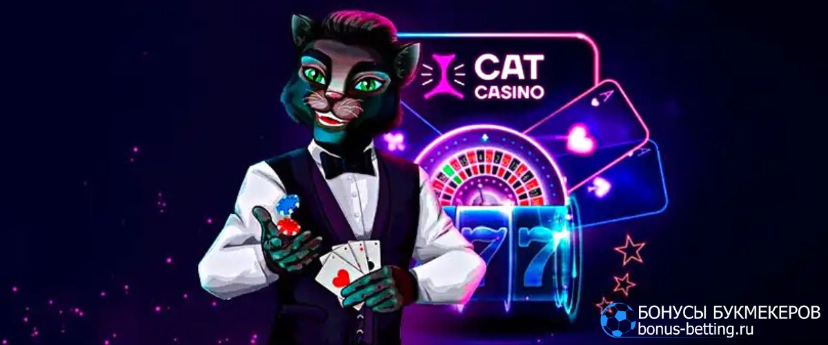 Cat casino